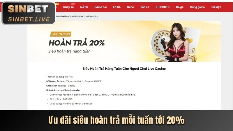 Trải nghiệm sòng bạc trực tuyến mu9 bet